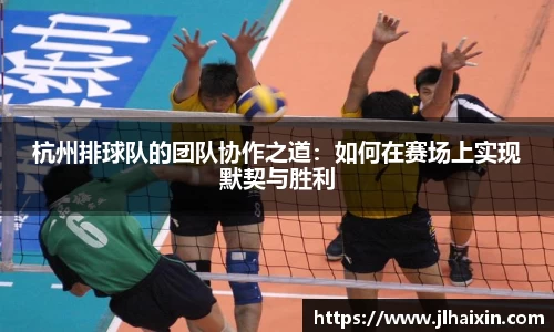 杭州排球队的团队协作之道：如何在赛场上实现默契与胜利